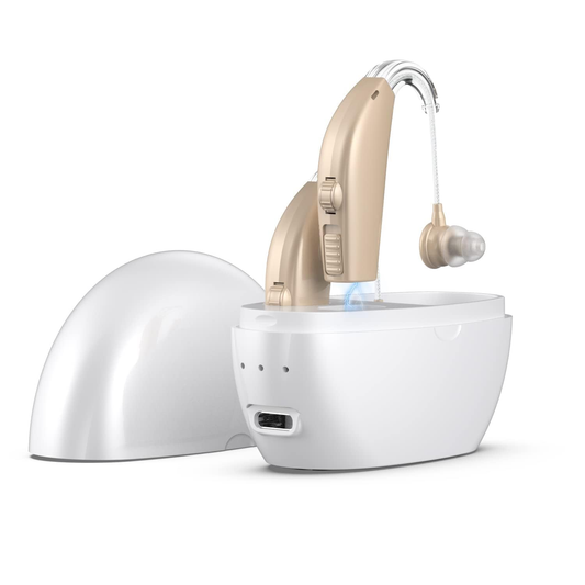 Hearing aids for the elderly, rechargeable, with noise reduction function